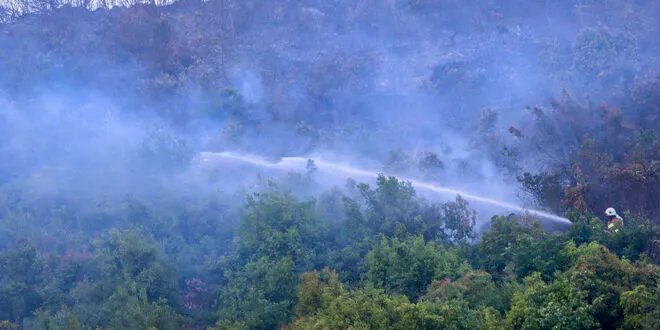 السيطرة على حريق ضخم في أحراج جورين بريف حماة بعد جهود مضنية