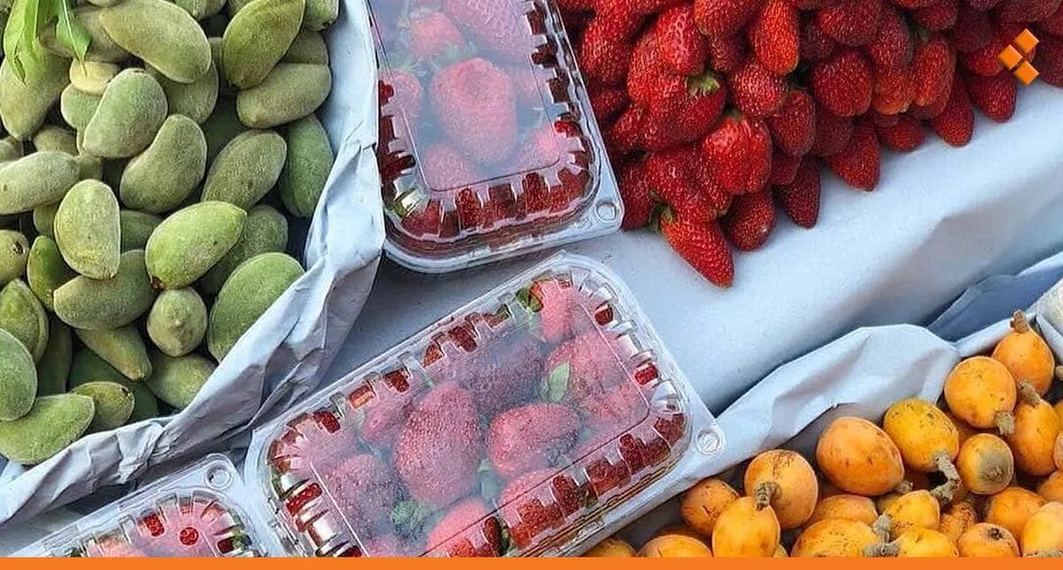 لماذا أسعار الفواكه الصيفية تشتعل في الأسواق السورية؟.. التصدير وارتفاع التكاليف يفاقمان الأزمة