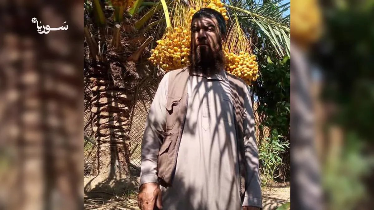 من تدمر إلى الرقة: نازح يُحيي زراعة النخيل المهملة ويحولها إلى مصدر رزق واعد