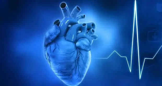 اكتشاف مفاجئ: آلية جديدة لتلف القلب بعد النوبات القلبية تقلب المفاهيم الطبية