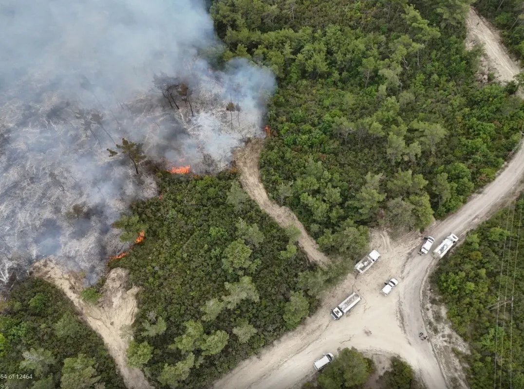 اللاذقية تحترق: جهود مكثفة لاحتواء حرائق الربيعة وغرفة عمليات مشتركة