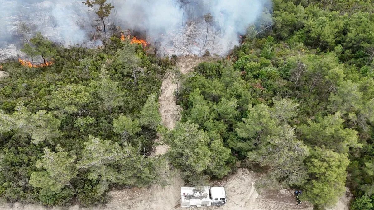 السيطرة على 60% من حريق اللاذقية: جهود مكثفة لإخماد النيران