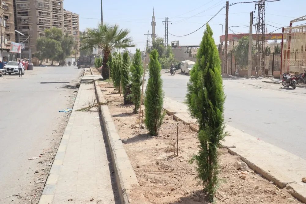 دوما تتجمّل: مبادرة لتشجير وتنظيف مدخل المدينة الرئيسي بالتعاون مع المجتمع المحلي