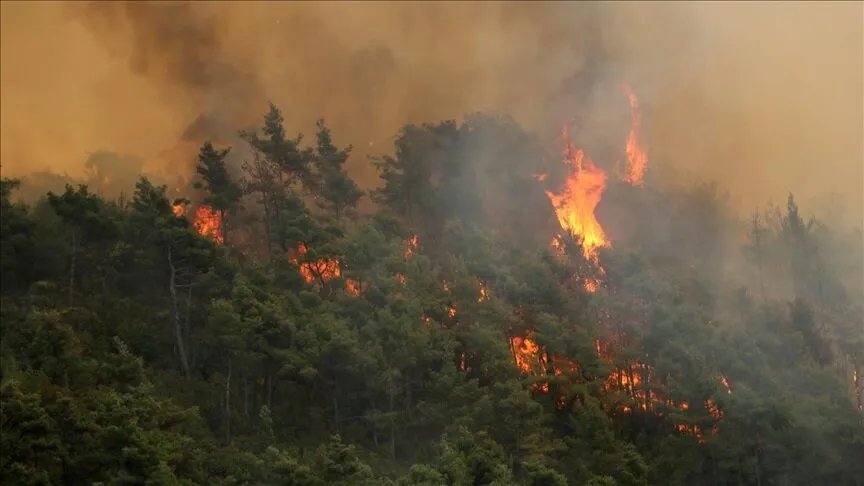 حرائق اللاذقية: الدفاع المدني يكافح للسيطرة على حريق هائل يلتهم 30 هكتاراً في جبل التركمان