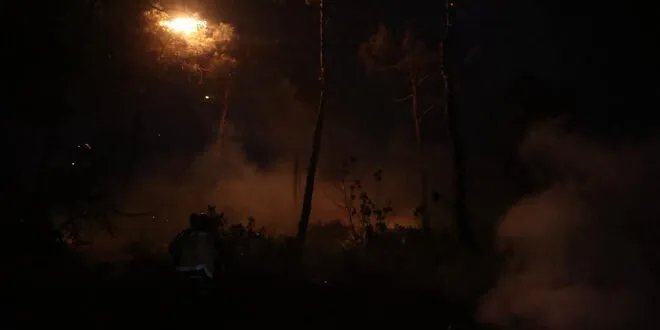 السيطرة على حرائق غابات جبل التركمان في اللاذقية مع استمرار جهود الإطفاء وسط صعوبات جمة