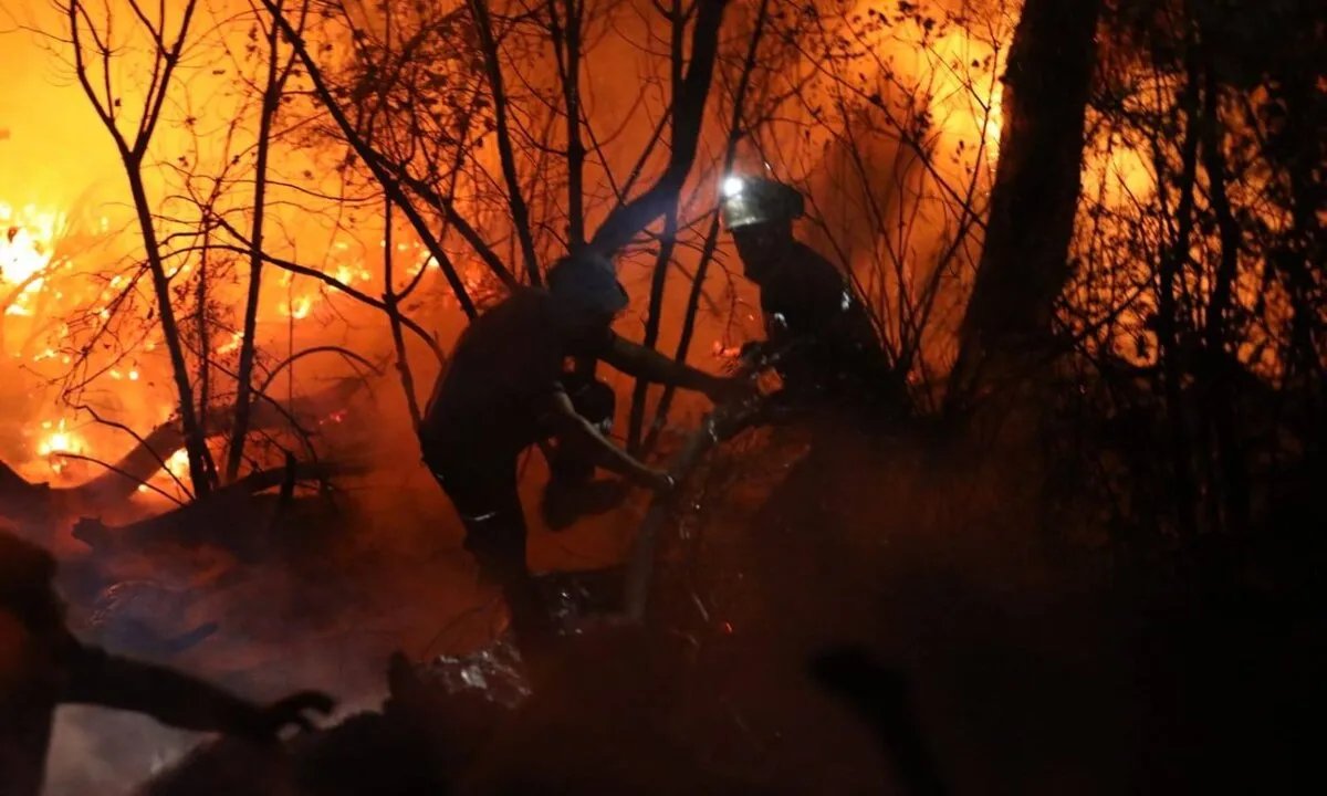 السيطرة على 80% من حرائق اللاذقية: جهود مكثفة لمواجهة النيران في جبل التركمان