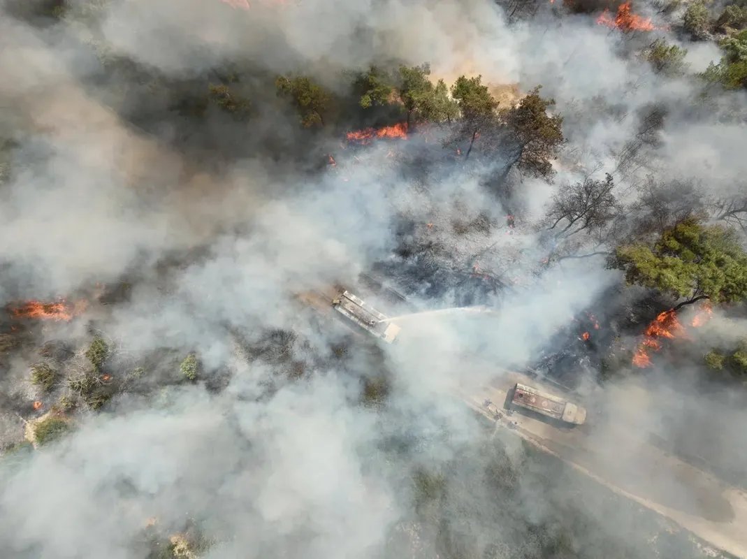 تركيا تتدخل لمساعدة اللاذقية في مكافحة حرائق ريفها المستمرة منذ 5 أيام