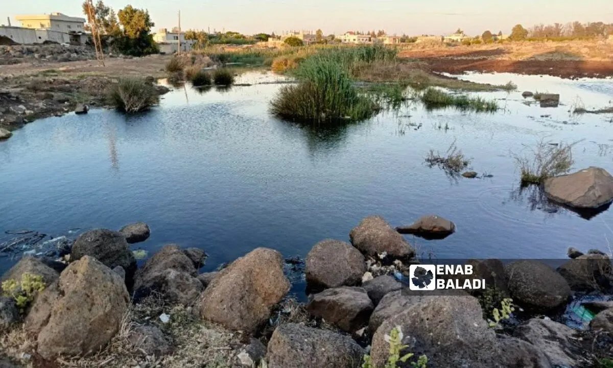 كارثة صحية في درعا: فيضان الصرف الصحي يحاصر قرية العجمي ويهدد السكان