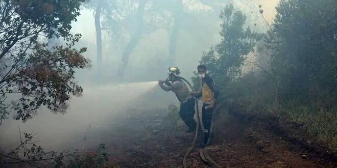 جهود مكثفة للسيطرة على حرائق اللاذقية: تقسيم المنطقة المتضررة وعزلها للحد من الانتشار