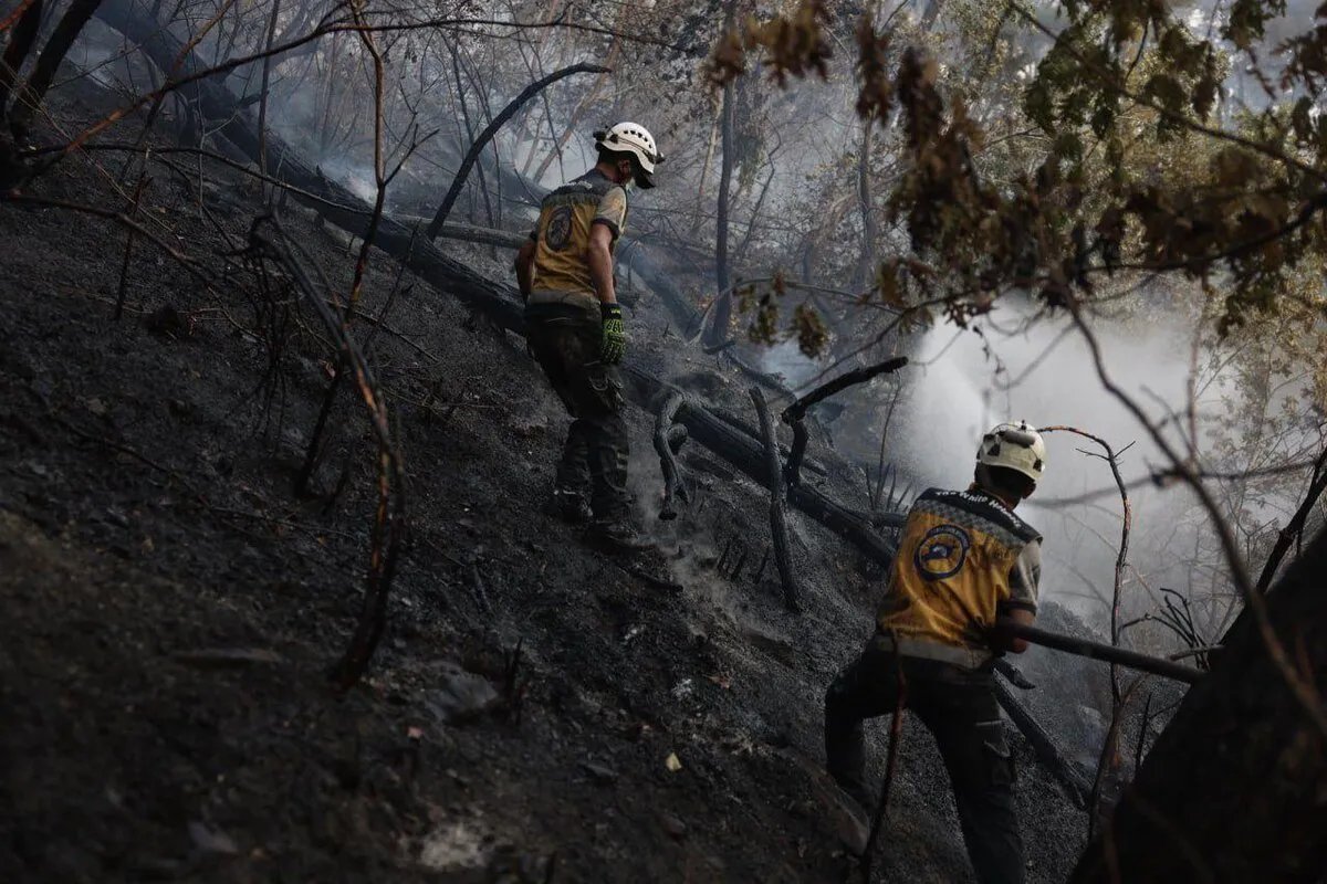 لليوم السادس: فرق الإطفاء تكافح النيران في جبل التركمان باللاذقية وسط ظروف صعبة
