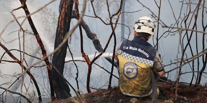 السيطرة على معظم بؤر النيران في حريق جبل التركمان باللاذقية بعد جهود استمرت 6 أيام