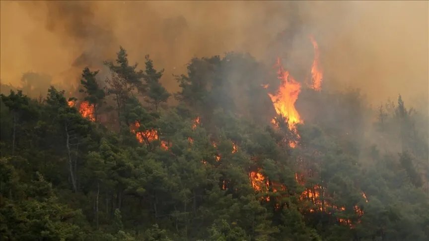 اللاذقية تحترق: الرياح تعيد إشعال حرائق جبل التركمان وجهود مكثفة لاحتوائها