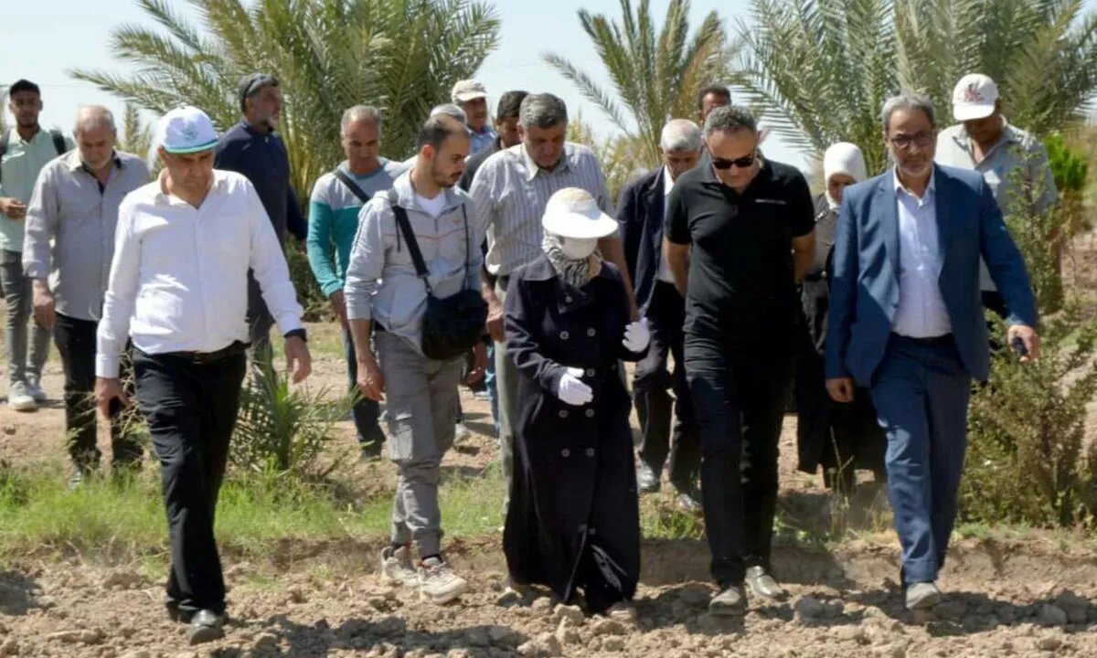 مزارعو دير الزور يعلقون آمالهم على موسم تلقيح النخيل: تحديات وآمال في ظل ظروف صعبة