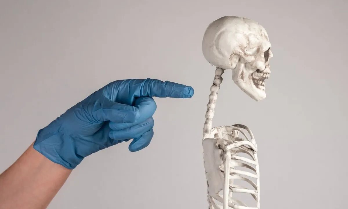 كسور العنق: كل ما تحتاج معرفته عن الأسباب، الأعراض، التشخيص والعلاج