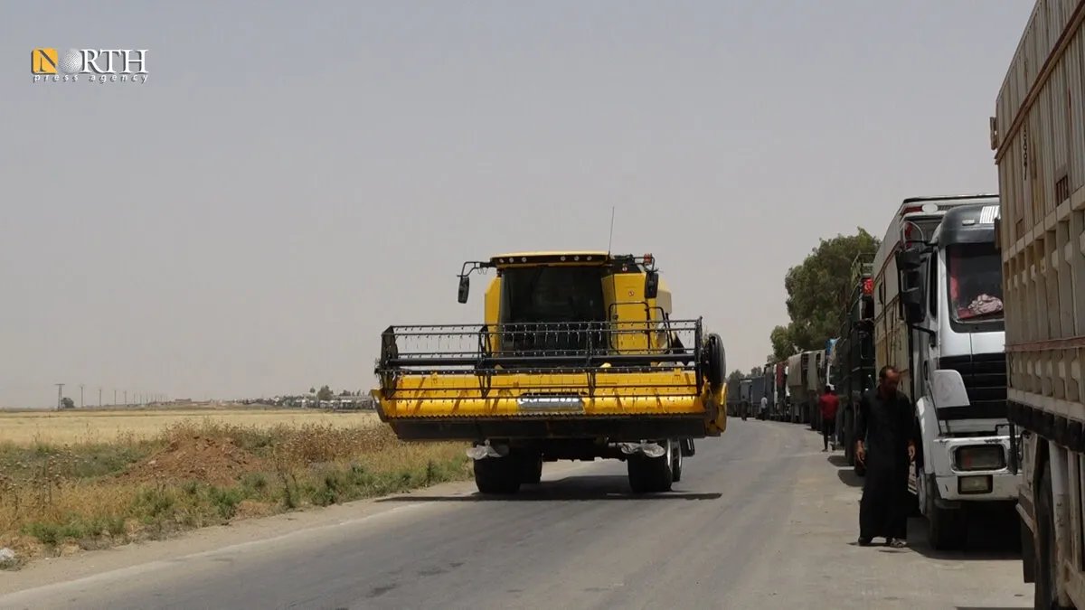 الإدارة الذاتية في الرقة تستعد لاستقبال محصول القمح: تجهيز ستة مراكز وسط ترقب المزارعين