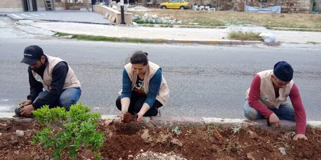 طرطوس تتجمّل: فريق E-clean يزرع الأمل والأزهار في المدينة القديمة
