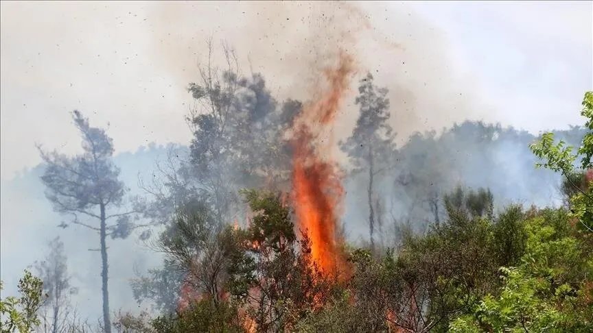 نيران متصاعدة: حرائق جديدة تشتعل في حماة وتتوسع في اللاذقية بفعل الرياح القوية