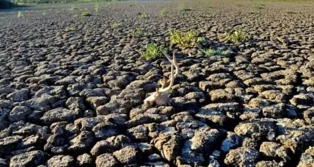 حماة تواجه أزمة مياه الشرب: هل من حلول عاجلة لمواجهة صيف العطش والطوارئ البيئية؟