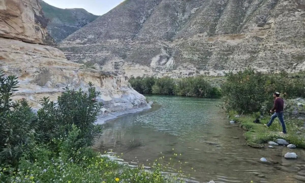 إسرائيل تنظم "جولات سياحية" مثيرة للجدل في الأراضي السورية المحتلة