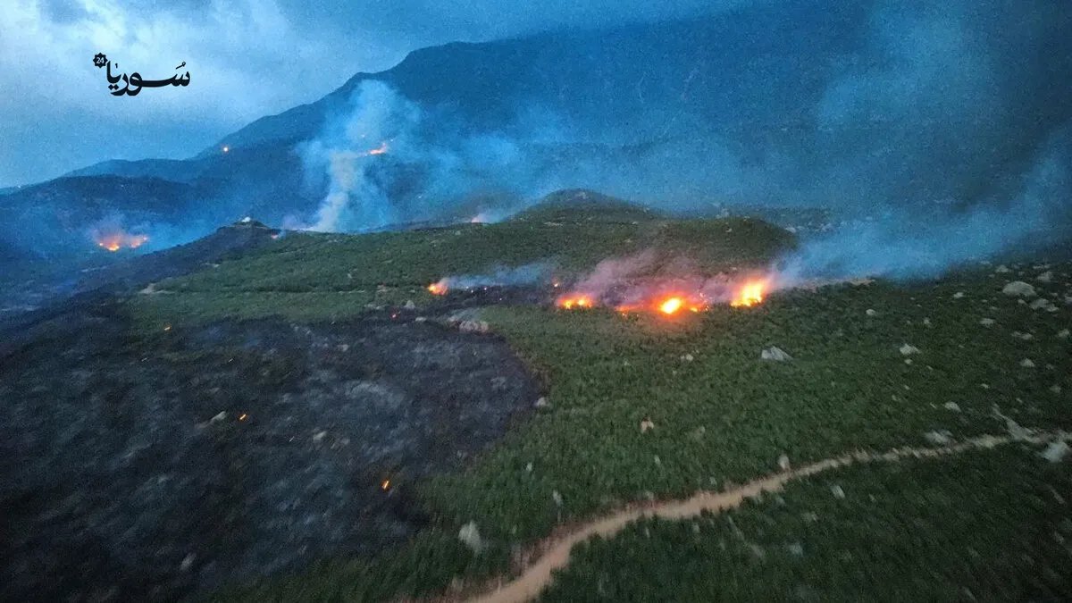 حرائق ضخمة تلتهم مئات الدونمات من غابات حماة: جهود مضنية لإخماد النيران