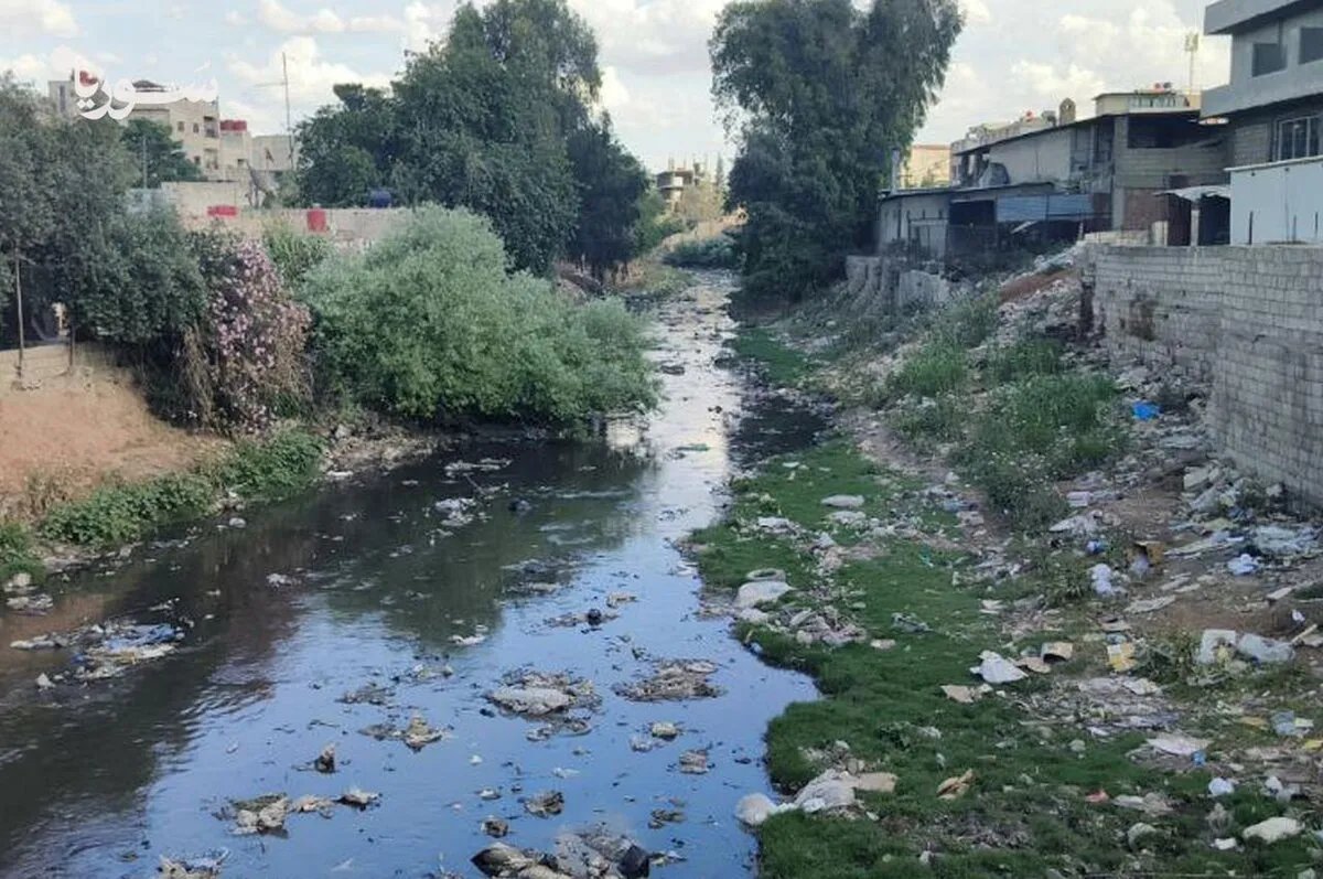 القامشلي تختنق: تلوث نهر جقجق يُنذر بكارثة بيئية وصحية