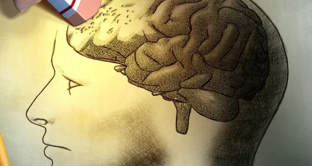 احذر هذه الأطعمة! 3 مواد غذائية تدمر الذاكرة وتضر بالدماغ.. تعرف عليها