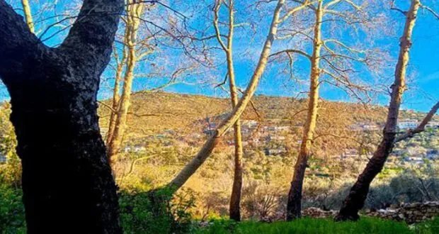 طقس حار ومستقر يسيطر على سوريا مع ارتفاع ملحوظ في درجات الحرارة