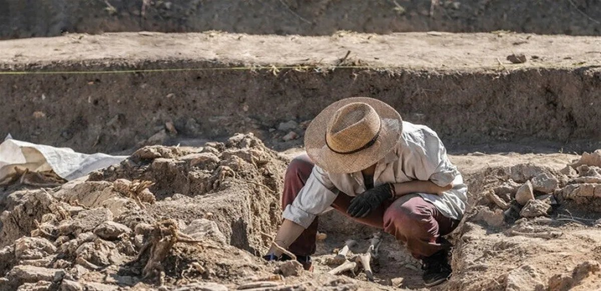 كنوز من الماضي: اكتشاف أثري في سوريا يكشف عن ألعاب أطفال عمرها 4500 عام!