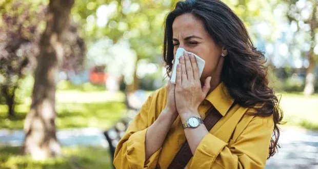 وداعاً للحساسية الموسمية: 5 مشروبات طبيعية تخفف الأعراض وتدعم مناعتك