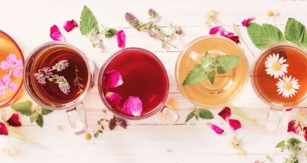 الشاي: رحلة عبر التاريخ والثقافات.. من أسطورة الصين إلى رمز الضيافة العالمي