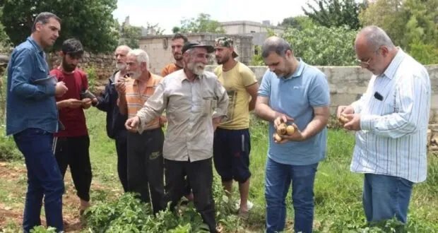 جولات إرشادية زراعية في سوريا: هل هي حلول للمزارعين أم مجرد صور دعائية؟