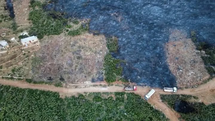 حرائق الغاب تلتهم مئات الدونمات: خسائر فادحة وتحديات تواجه جهود الإطفاء