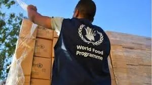 تحذير من برنامج الأغذية العالمي: نقص حاد في التمويل يهدد ملايين السوريين بالجوع