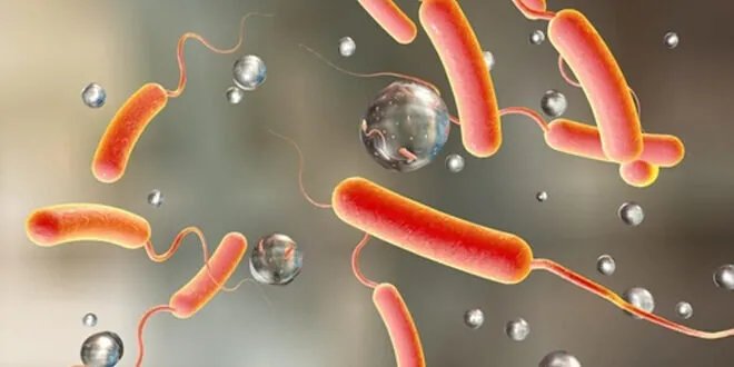 الصحة تنفي تفشي الكوليرا في مخيم الهول وتؤكد وجود حالات إسهال مائي حاد