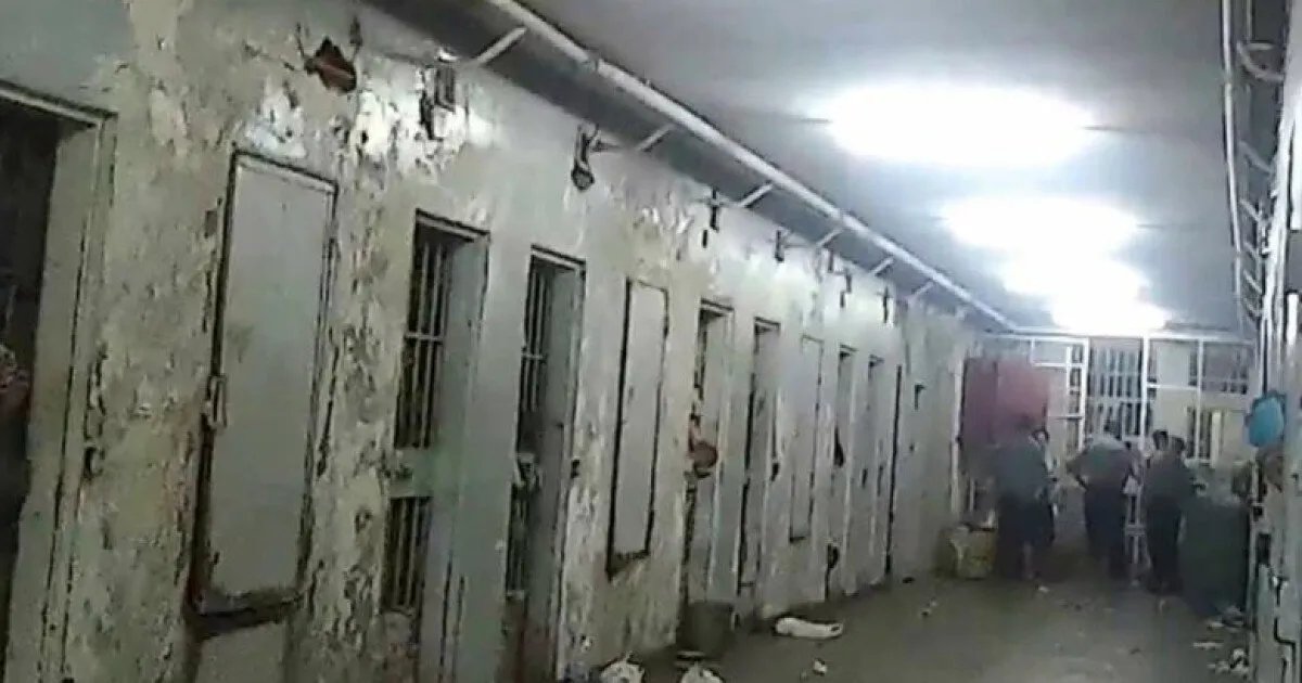 صيدنايا: سجن الرعب السوري.. شهادات مروعة تكشف فظائع التعذيب والإعدام