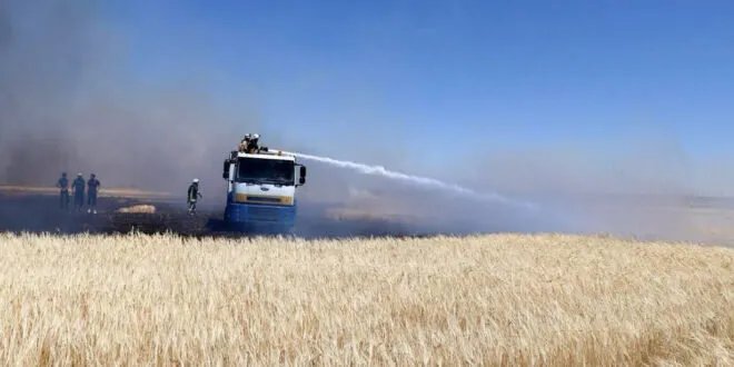 استنفار لمواجهة حرائق الصيف: خطة طوارئ شاملة لحماية المحاصيل والغابات في سوريا