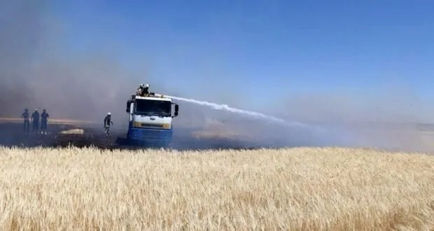 استعداداً لموسم الحصاد: خطة طوارئ شاملة للحد من حرائق المحاصيل والغابات في سوريا