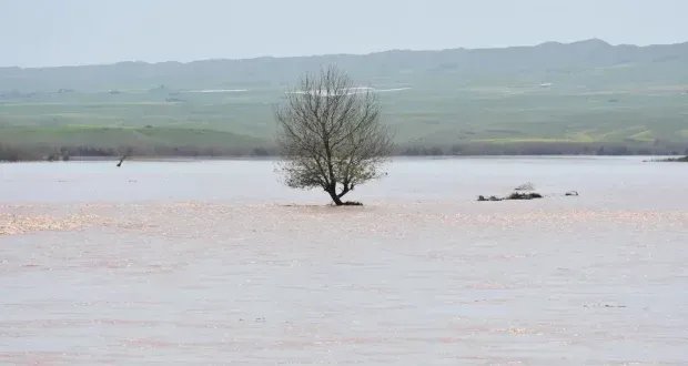 العراق يواجه أزمة مياه حادة: أدنى مخزون منذ 80 عاماً يهدد الزراعة