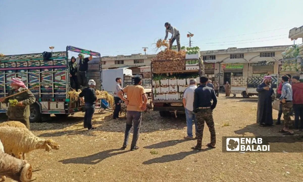 إغراق الأسواق بالخضراوات المستوردة يُكبّد مزارعي درعا خسائر فادحة