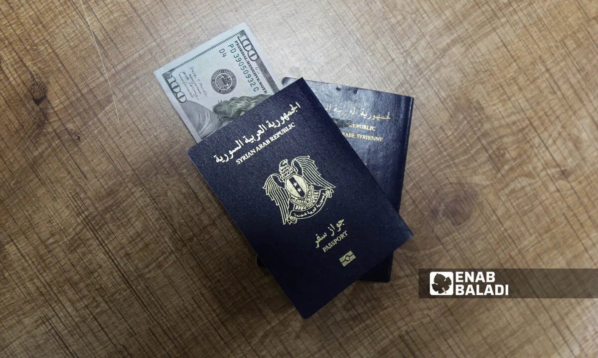 احتيال التأشيرات: سوريون يقعون ضحايا لعمليات نصب مقابل وعود بالسفر إلى الإمارات ومصر