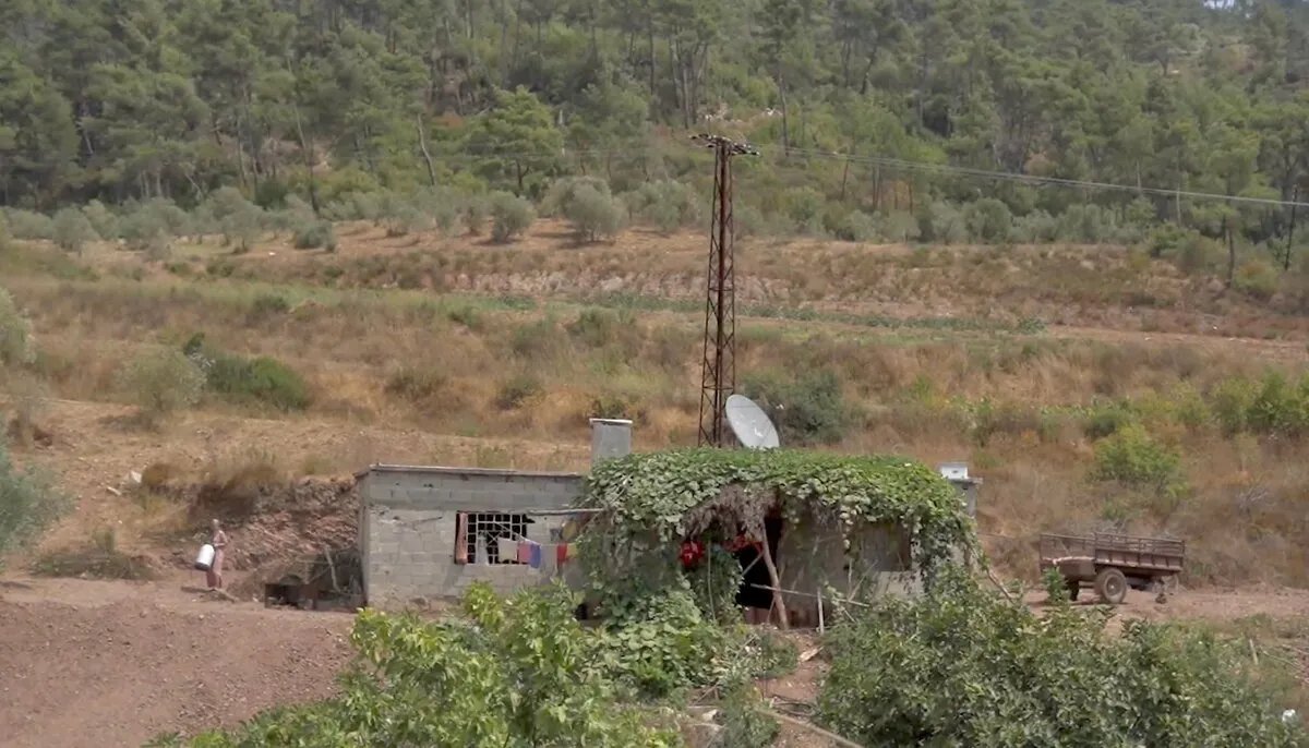 مأساة في اللاذقية: مقتل وإصابة ستة علويين بنيران رعاة أغنام بدو بسبب خلاف على الأراضي