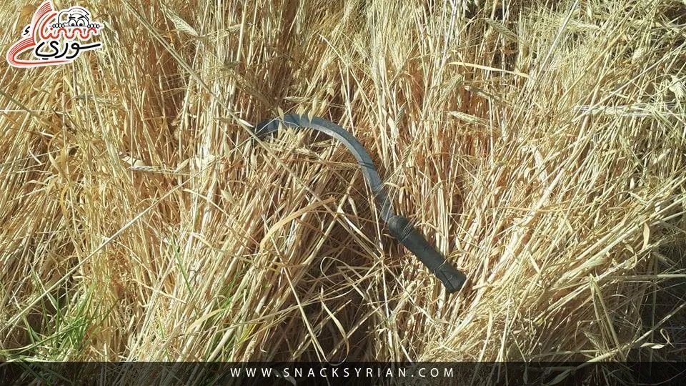 مأساة في مشقيتا: مقتل خمسة أشخاص بينهم امرأة برصاص مسلحين مجهولين