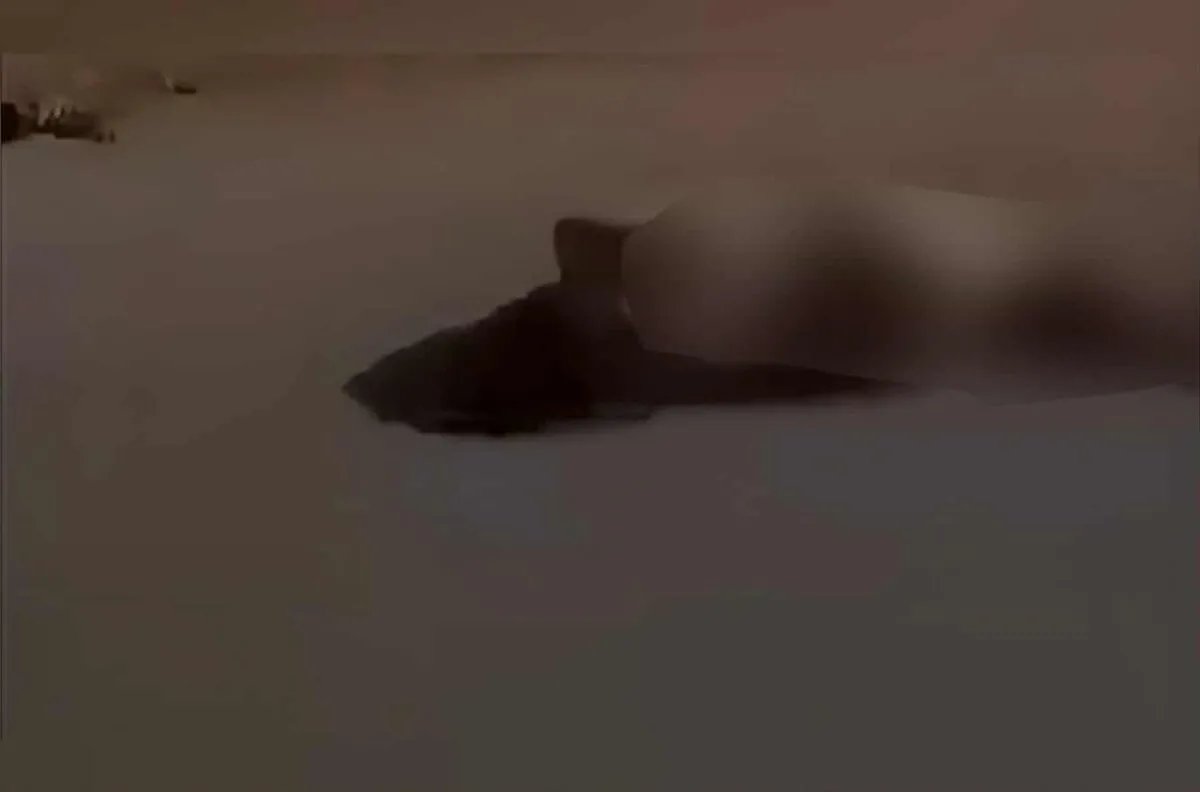 حلب: العثور على جثة امرأة عارية يثير صدمة ويُعيد تسليط الضوء على هشاشة حماية المرأة في سوريا