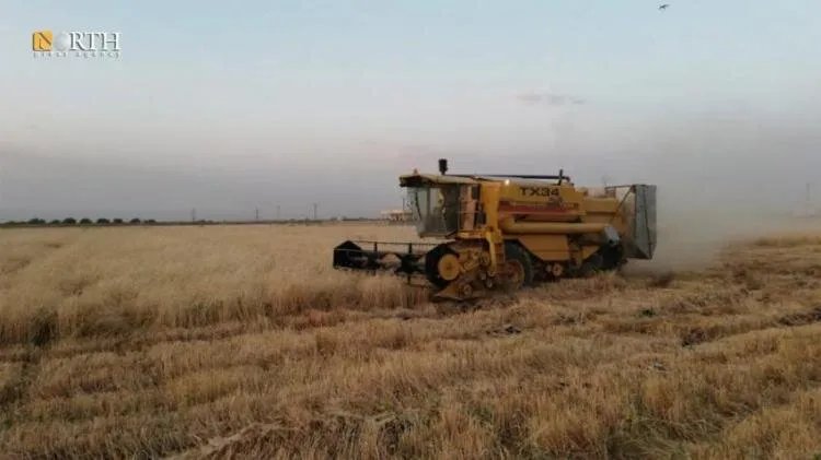 أزمة القمح تتفاقم: مؤسسة الحبوب تقترح سعر 420 دولارًا للطن مع مكافآت للمزارعين