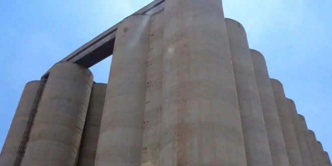 درعا: بدء استلام القمح من المزارعين في مركزي إزرع والصنمين مع جاهزية كاملة