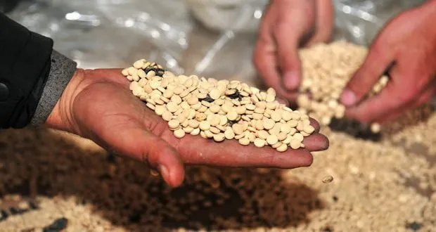 إحباط تهريب مخدرات ضخمة إلى السعودية عبر معبر نصيب: تفاصيل العملية