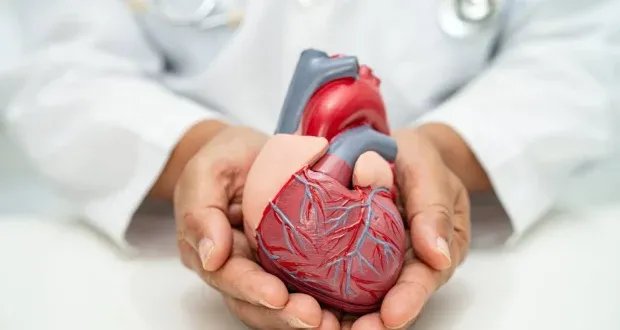 قلب سليم في خطوات بسيطة: 5 نصائح ذهبية من أطباء القلب للحياة اليومية