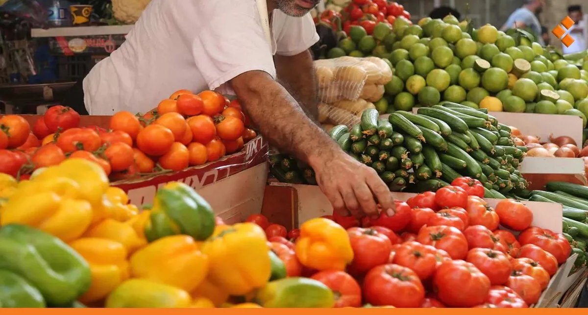 قرار حكومي يوقف استيراد بعض الخضروات لدعم المزارع المحلي وتحقيق الاكتفاء الذاتي
