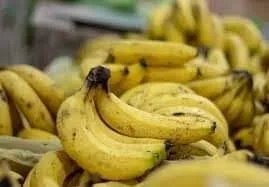 تحذير من تدهور إنتاج الموز السوري: أمراض فطرية تهدد المحاصيل وتخفض وزن العنقود إلى 4 كيلوغرامات