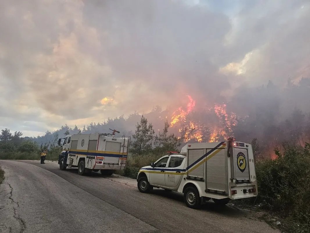 انفجارات ذخائر تعيق إخماد حرائق غابات اللاذقية